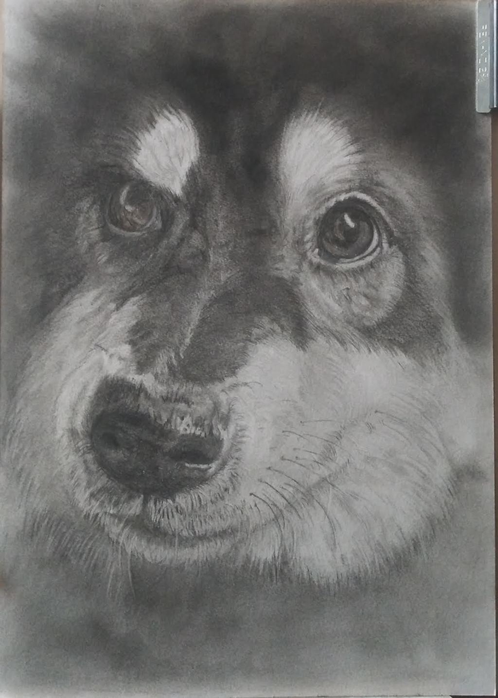 Just keep drawing…