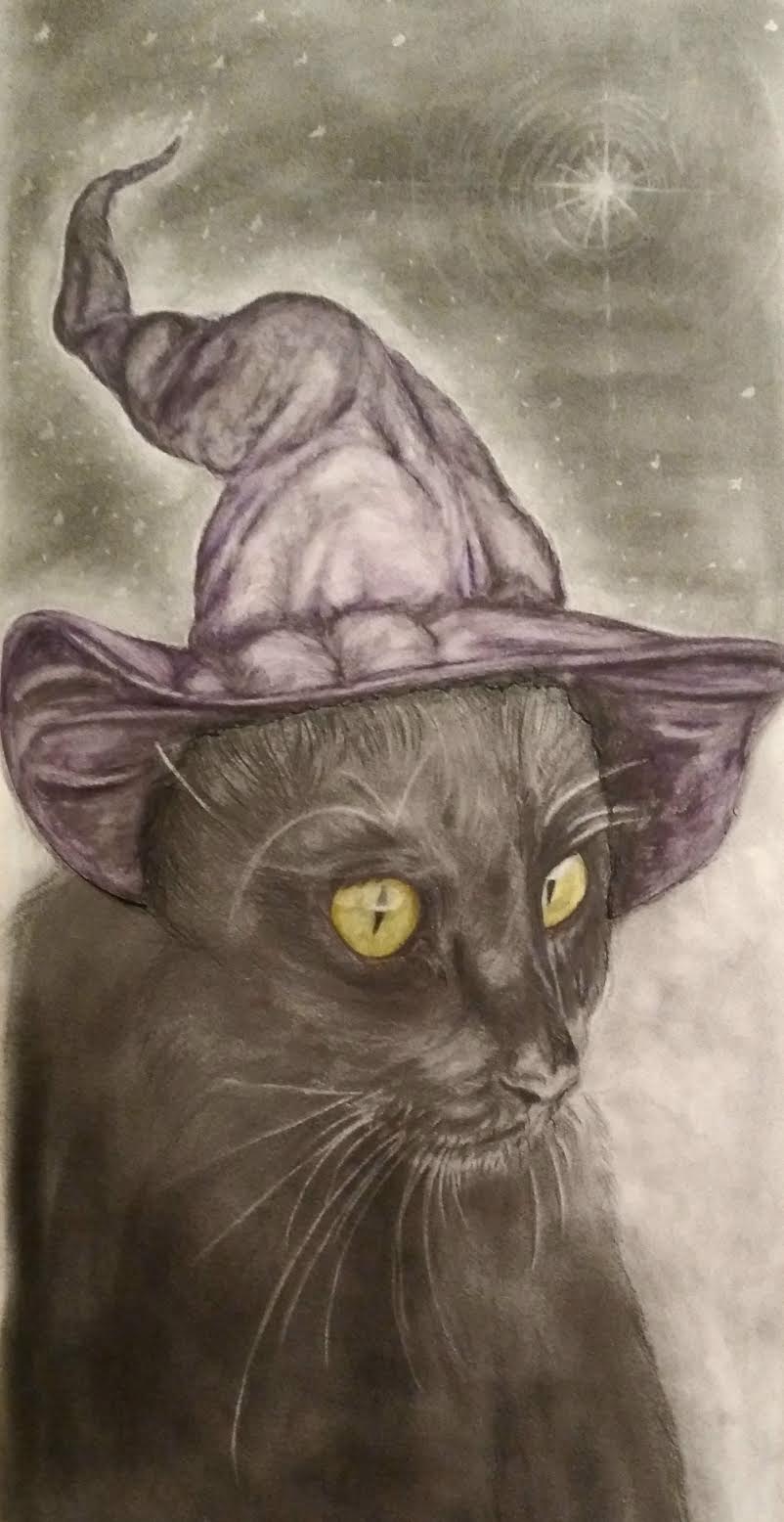 Hermione and The Magical Black&nbsp;Cat.