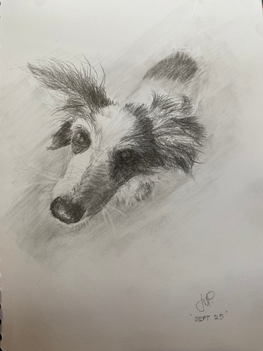 Cafe Doodle – Oreo.