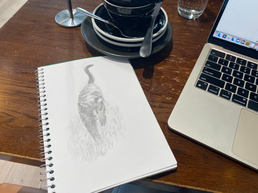 Daily Cafe Doodles.