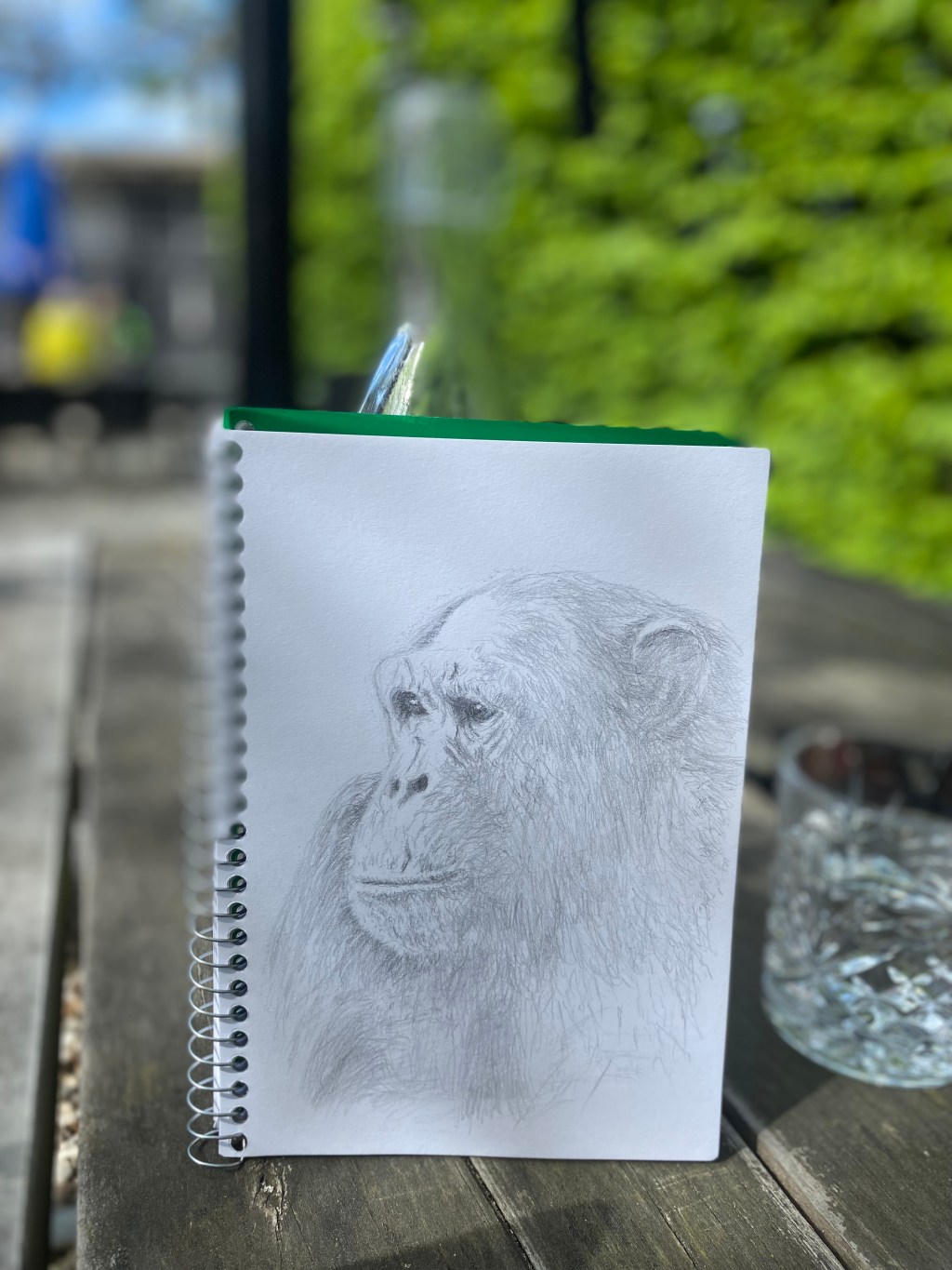 Daily Cafe Doodles. The Store@Tai Tapu.