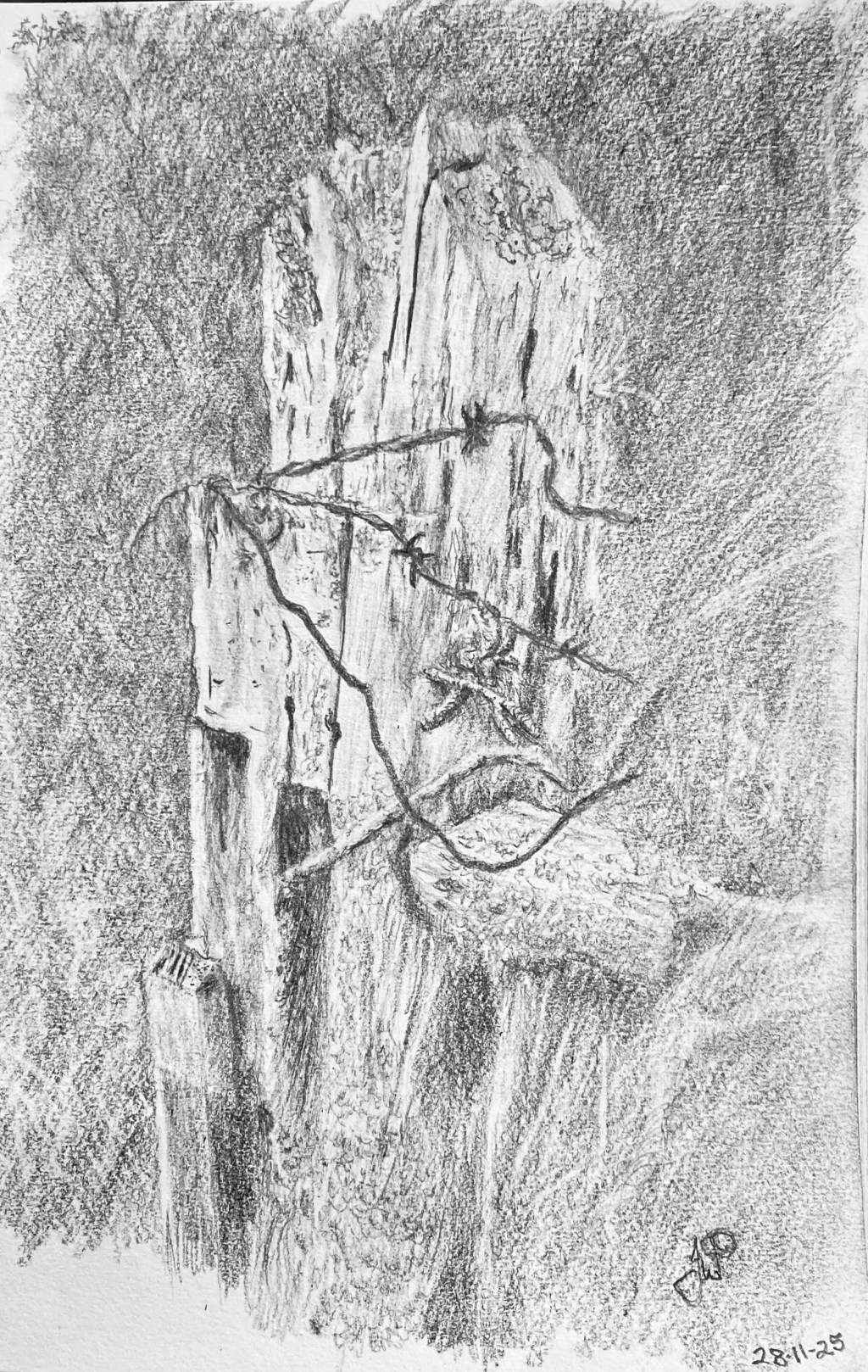 Cafe Doodles –&nbsp;Blenheim.