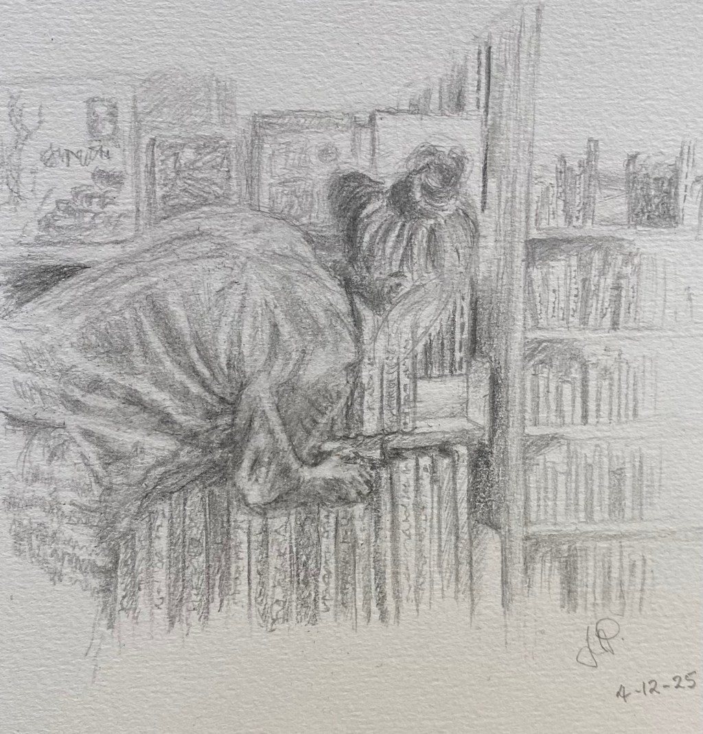 Marlborough (Blenheim) Library – Te Kahu 0&nbsp;Waipuna.