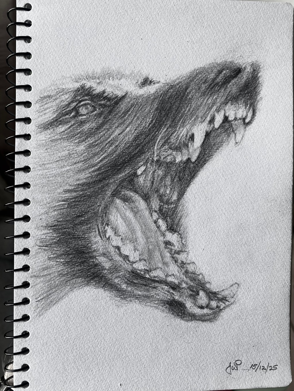 Not So Daily&nbsp;Doodles!