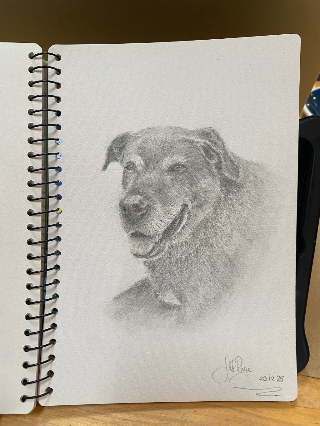 Daily Doodles –&nbsp;Marton.