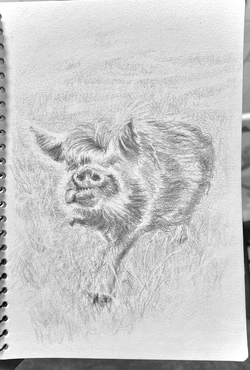 Why do we&nbsp;housesit?